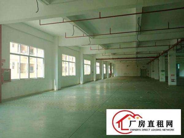 
		房东直招，精装厂房1300平，建筑面积，坐标：大浪
	