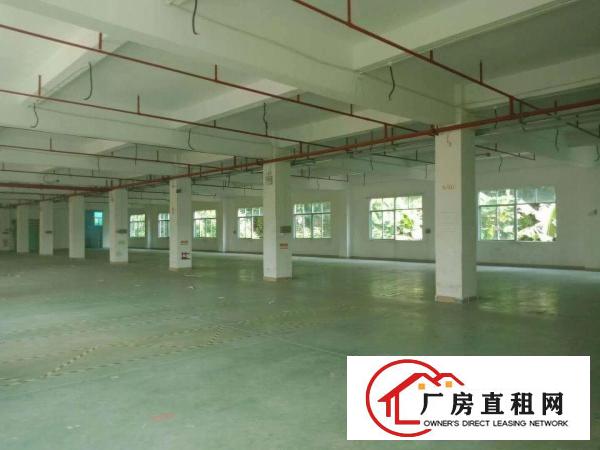 
		房东直招，精装厂房1300平，建筑面积，坐标：大浪
	
