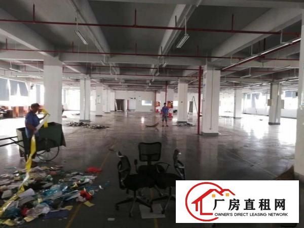 
		大浪商业中心附近1300平，2500平方红本厂出租
	