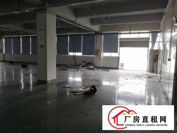 
		大浪商业中心附近1300平，2500平方红本厂出租
	