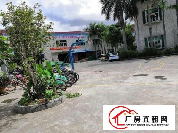 
		龙华大浪新出二楼精装修厂房800平可分租
	