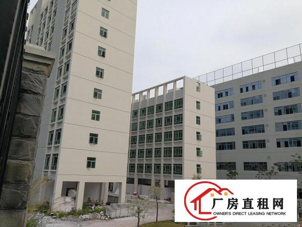 
		大浪服装基地新出4楼整层原房东1100平出租形象好
	