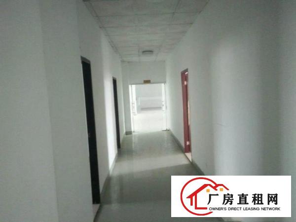 
		龙华大浪布龙路口精装楼上1200平厂房，大小可分租
	