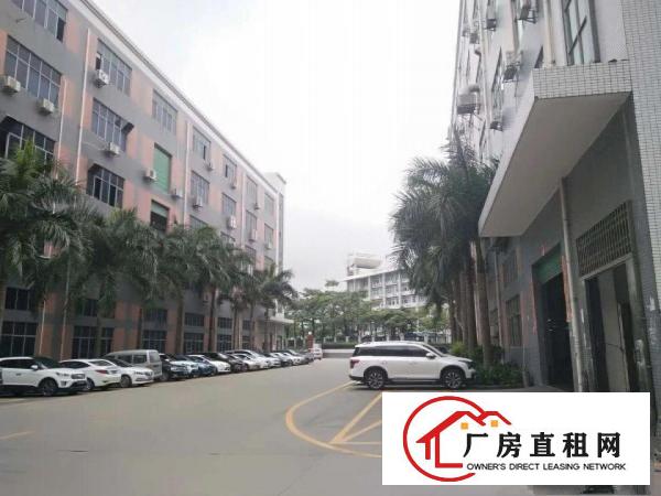 
		龙华大浪布龙路附近楼上豪华装修1400平厂房出租
	