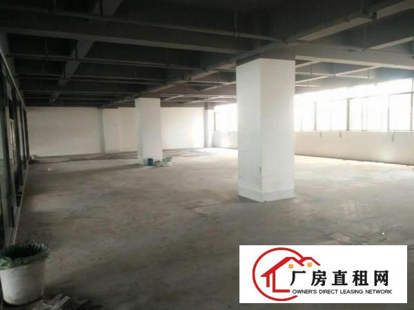 
		龙华大浪新出整层2680平厂房，新装修，大小可分租
	