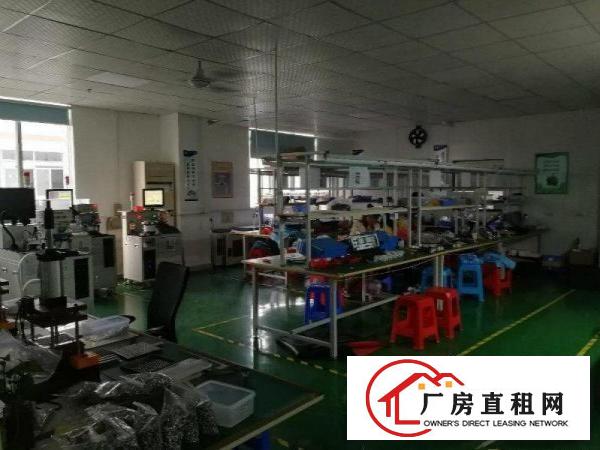 
		大浪新百丽小面积办公厂房120、180平带装修招租
	