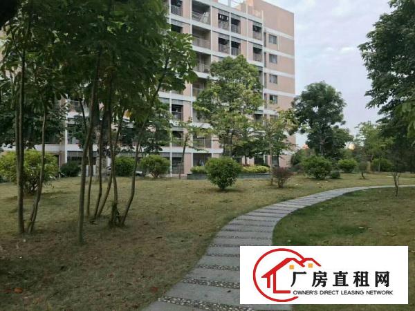
		龙华大浪豪华装修楼上1800平方办公厂房，拎包入住
	