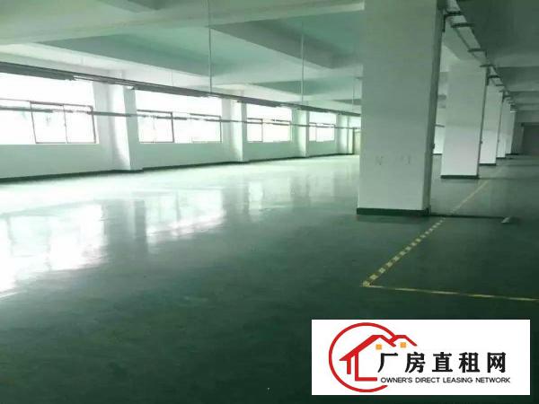 
		大浪新百丽工业园500~800~2800平厂房出租
	