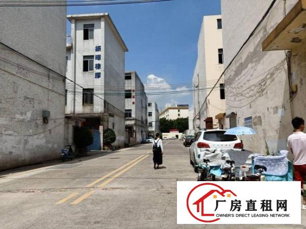 
		大浪义乌旁两层独院厂房带装单层800平方出租
	
