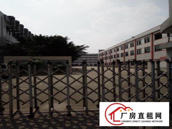 
		龙华大浪独院厂房3000/6000/8000平招租
	