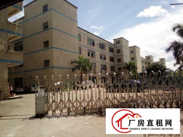 
		龙华大浪独院厂房3000/6000/8000平招租
	
