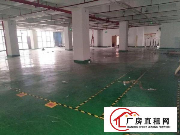 
		龙华大浪新百丽旁新出楼上1400平简装厂房招租！！
	