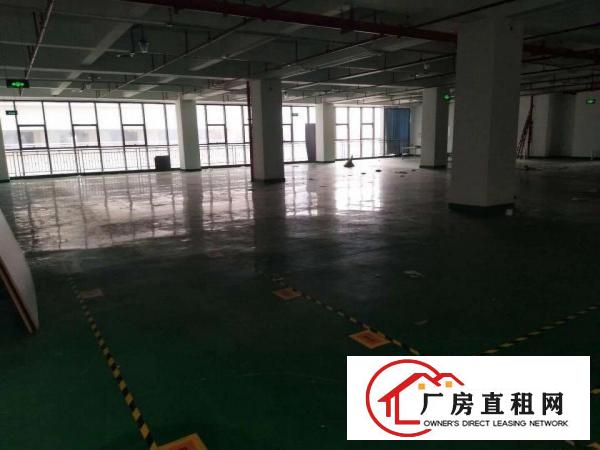 
		龙华大浪新百丽旁新出楼上1400平简装厂房招租！！
	