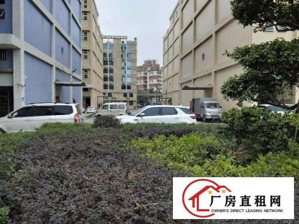 
		龙华大浪，整层2300平，带装修水电齐全
	