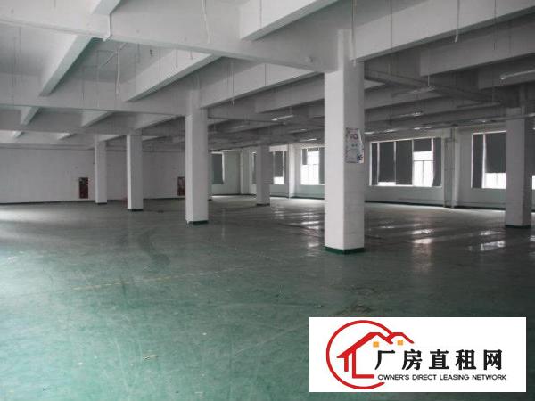 
		龙华大浪四楼2550平米精装修厂房业主直租
	