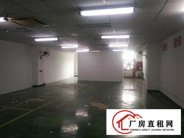 
		龙华大浪新出整栋带装修18000平厂房，大小可分租
	