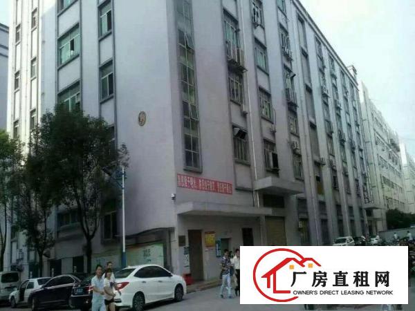 
		大浪新百丽原房东1100平带装修厂房出租
	