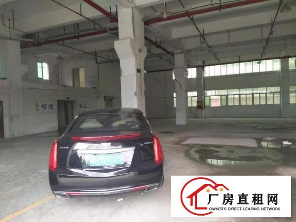 
		龙华大浪新百丽附近新出一楼2100平厂房
	