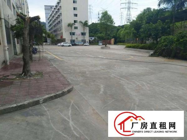 
		龙华大浪新百丽附近新出一楼2100平厂房
	