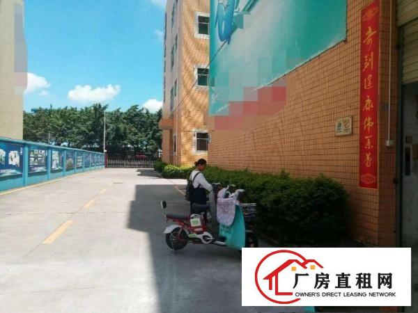 
		龙华大浪一楼680平标准厂房出租
	