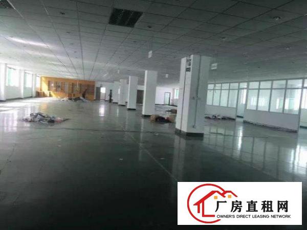 
		大浪高新科技园1000/1500/2200平带装修
	