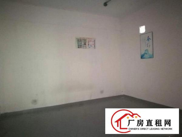 
		龙华大浪商业中心新出标准精装厂地230平出租
	