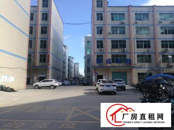 
		龙华大浪浪口新出一楼标准厂房650平出租
	
