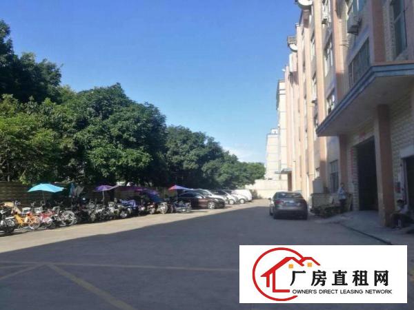 
		龙华大浪浪口新出一楼标准厂房650平出租
	