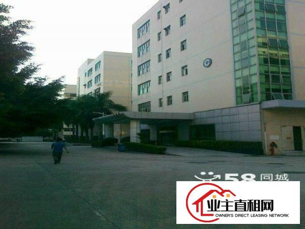 
		民治天汇大厦附近300.500.800平不等带装修
	