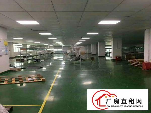 
		龙华民治花园式工业园整层精装修厂房1300平米出
	