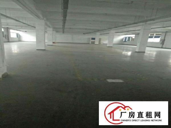 
		民治布龙路与和平路厂房1500平米
	