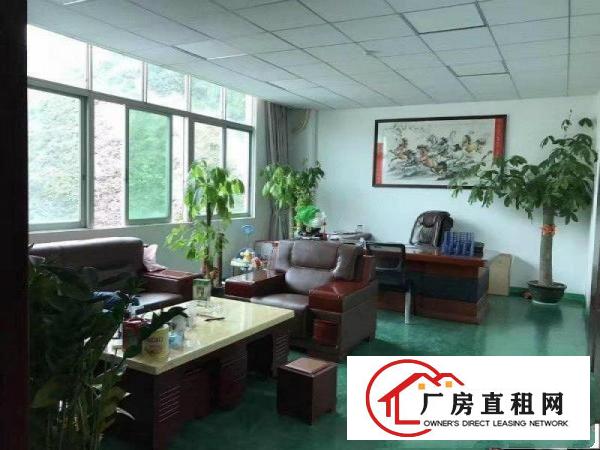 
		龙华大浪厂房300平600平900平1200招租
	