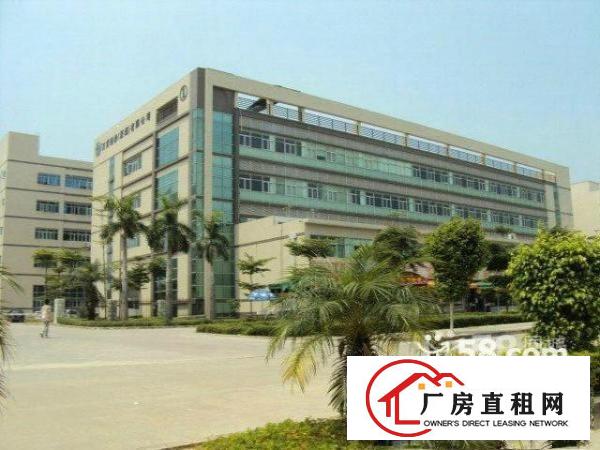 
		高新科技园新出3楼2600平带豪华装修免转让费急租
	