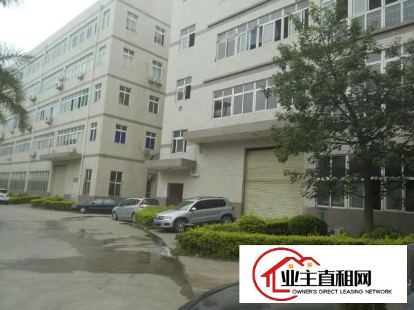
		龙华油松附近新出1100平带装修厂房招租
	