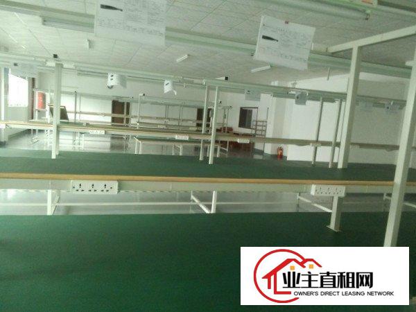
		龙华油松附近新出1100平带装修厂房招租
	