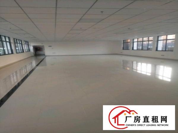 
		民治布龙路与和平路厂房1278平米
	