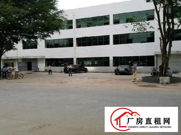 
		龙华上塘西头工业区电商仓库400平米
	
