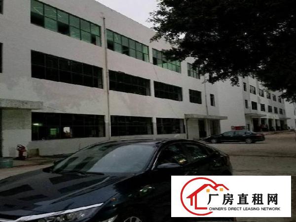 
		龙华上塘西头工业区电商仓库400平米
	
