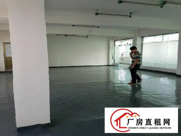 
		龙华上塘西头工业区电商仓库400平米
	