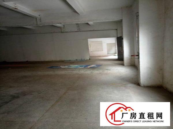 
		民治工业路与民治大道厂房700平米
	