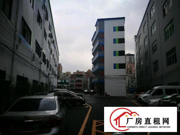 
		民治北站龙胜上塘元芬高薪产业园隆重招租
	
