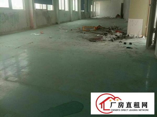
		龙华民治万众城附近厂房招租100-500㎡
	
