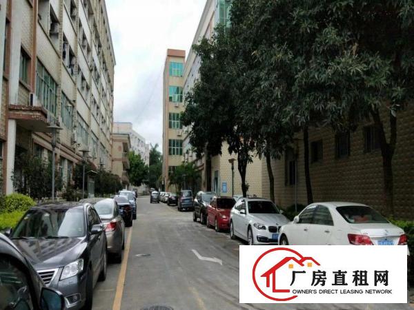 
		新出科技园厂房2楼1460平可申请高新补贴一手房东
	