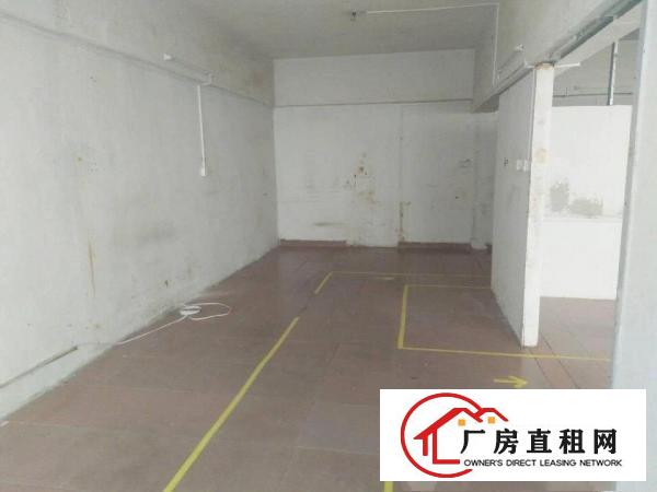 
		龙华油富商城附近新出300平厂房可分租
	
