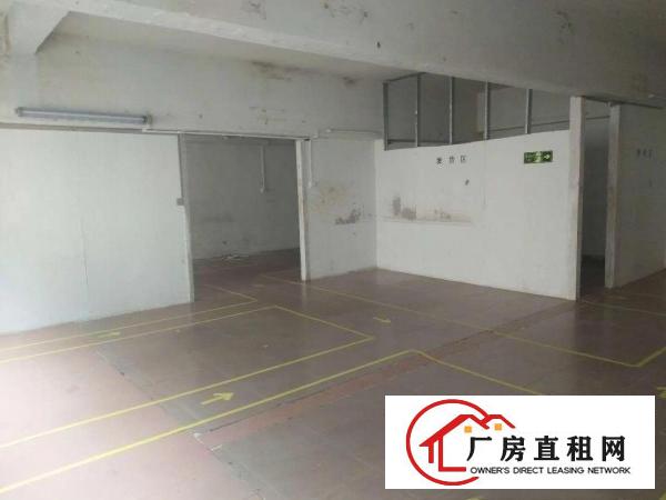 
		龙华油富商城附近新出300平厂房可分租
	