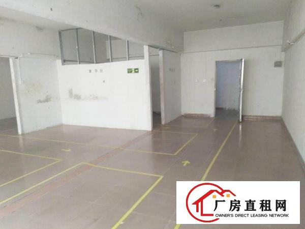 
		龙华油富商城附近新出300平厂房可分租
	