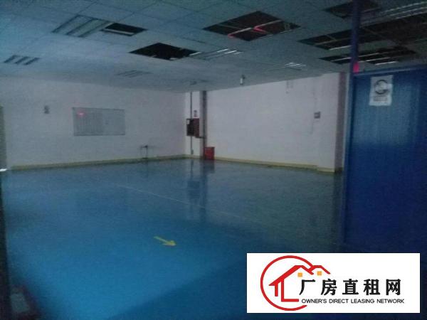 
		龙华清湖地铁口新出2400平厂房可分租
	