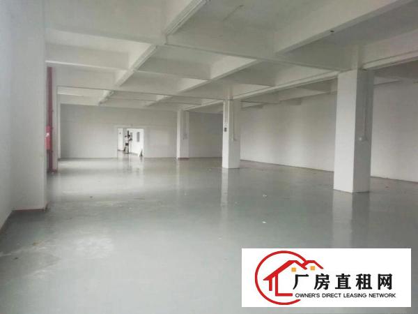 
		龙华鹊山路口新出三楼750平厂房带精装修出租
	