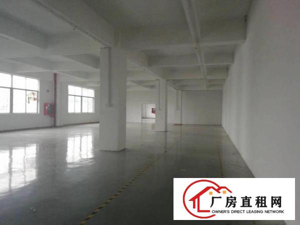 
		龙华鹊山路口新出三楼750平厂房带精装修出租
	