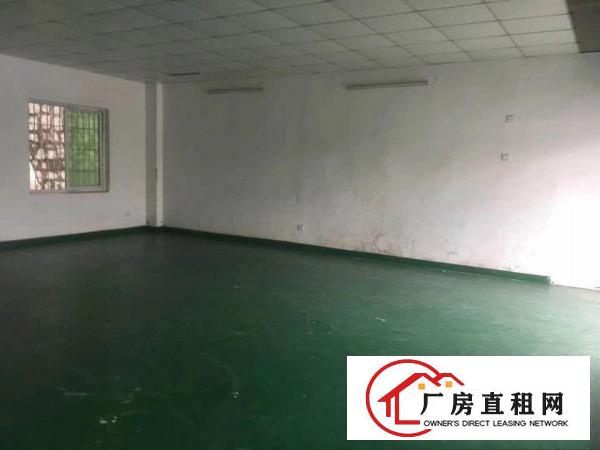 
		龙华鹊山路口新出一楼180平标准厂房带装修出租
	